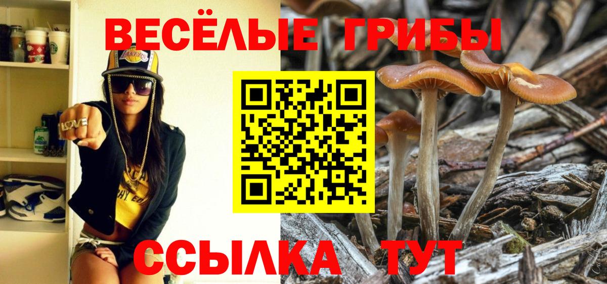 где можно купить наркотик  Вход с VPN  Златоуст  Псилоцибиновые грибы ЛСД 